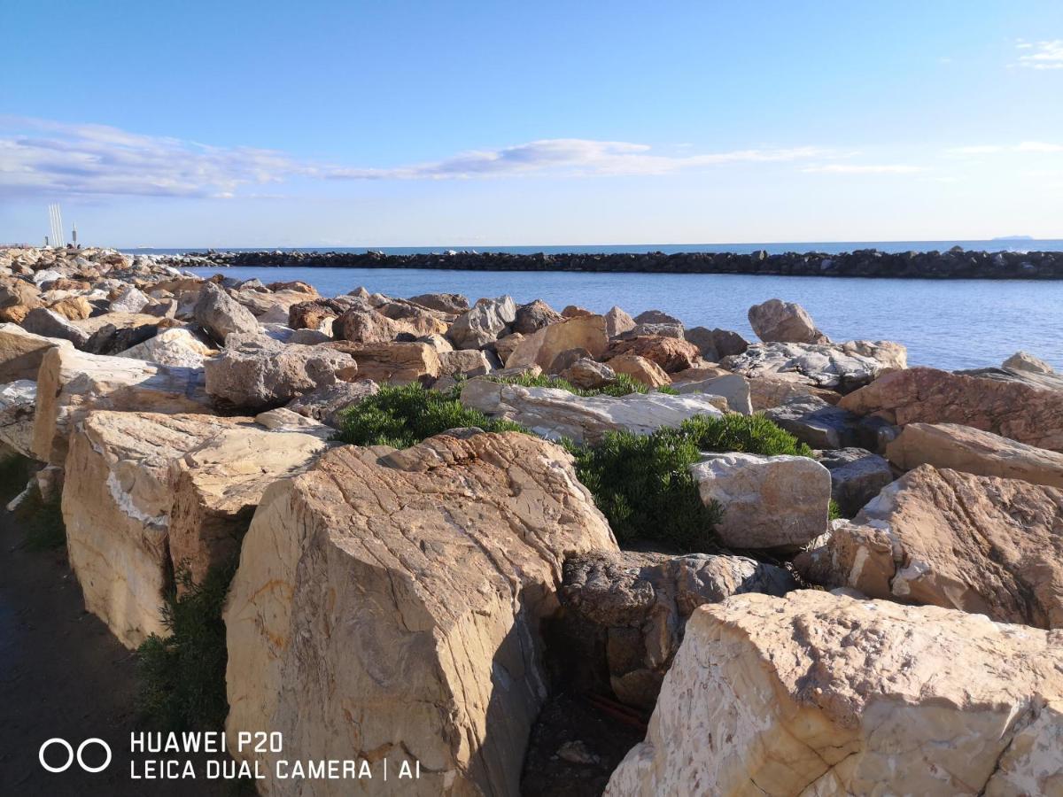 Appartamento bilocale Marina di Pisa Esterno foto